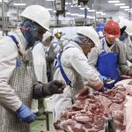 Anglia: Peste 170 de angajați ai unei fabrici de procesare a cărnii, testați pozitiv pentru COVID-19