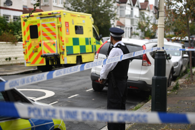 Fată de 5 ani ucisă în Londra. O femeie a fost arestată pentru crimă