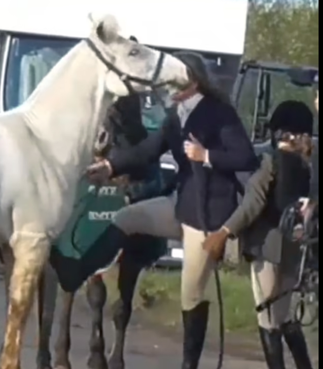 VIDEO - O profesoară britanică lovește cu cruzime un cal. Imaginile au provocat indignare