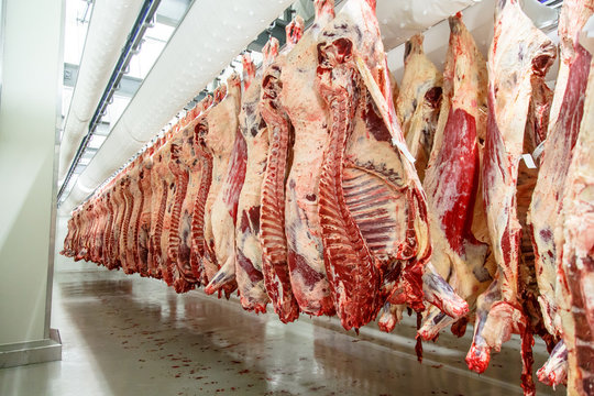 Soluție de avarie la criza muncitorilor. Marea Britanie exportă animale tăiate în UE, apoi reimportă carnea tranșată