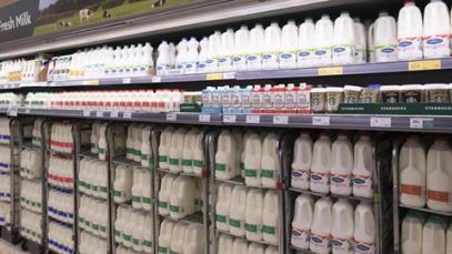 În Marea Britanie se renunță la data de expirare a laptelui. „Folosiți-vă mirosul!”