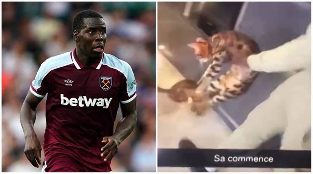 Scandal URIAȘ în Anglia: Fotbalist de la West Ham filmat în timp ce își ia pisica la șuturi
