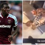 Scandal URIAȘ în Anglia: Fotbalist de la West Ham filmat în timp ce își ia pisica la șuturi