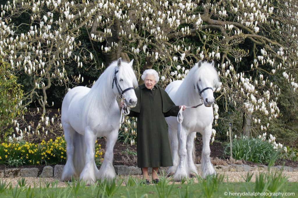 Regina Marii Britanii, la 96 de ani. Prințul Harry: „Avem o relație foarte specială”