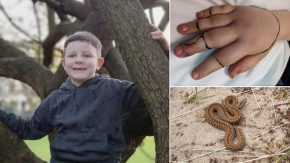 ATENȚIE LA VIPERE! Un băiețel de 8 ani din Londra mușcat de viperă a fost la un pas de MOARTE
