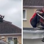 Muncitor furios distruge acoperișul