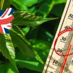 uk 30 de grade