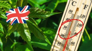 uk 30 de grade